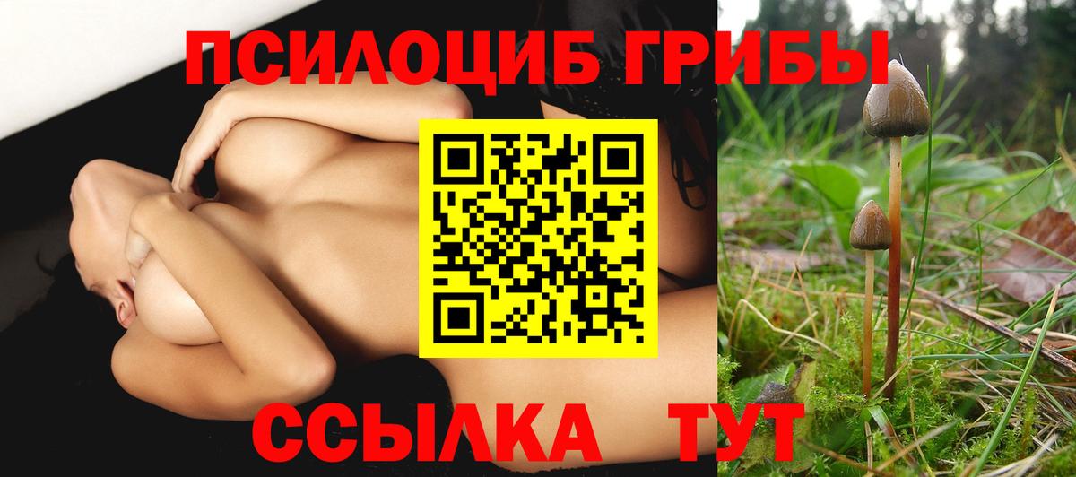Галлюциногенные грибы прущие грибы Рассказово